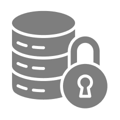 Data Security Icon